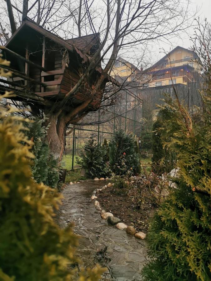 Alloggio in famiglia Doftana